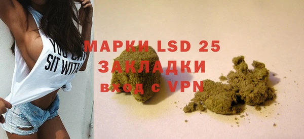 прущие грибы Инта