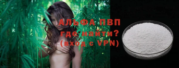 молекула духа Ельня