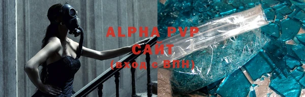 бошки Иннополис