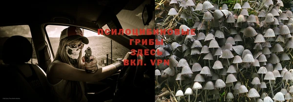 бутират Алексин